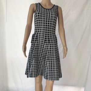 The Limited Dress (xs)
